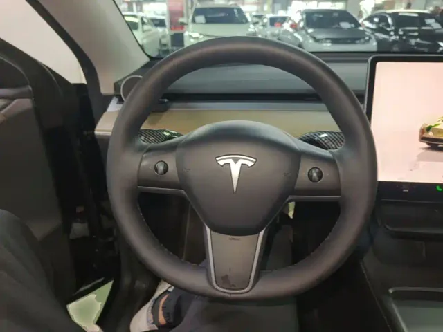 Tesla Model Y — Фото автомобиля 10