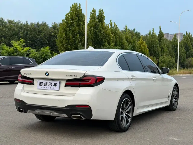 BMW 5 Series — Фото автомобиля 15