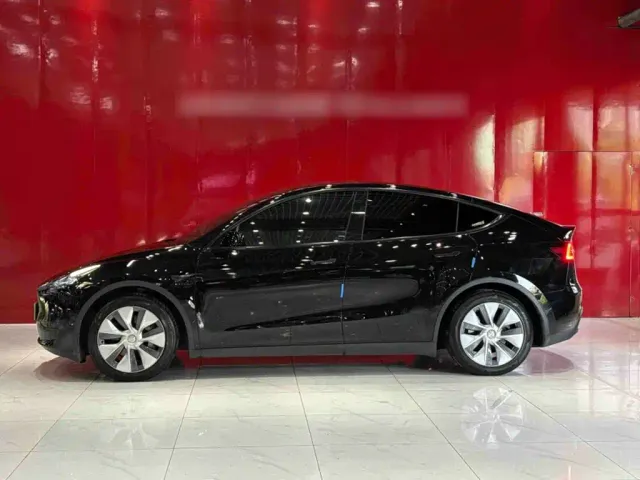 Tesla Model Y — Фото автомобиля 2