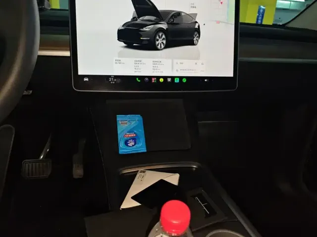 Tesla Model Y — Фото автомобиля 9
