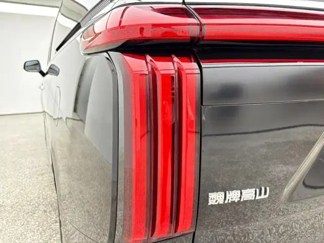 Wey Alpine — Фото автомобиля 7