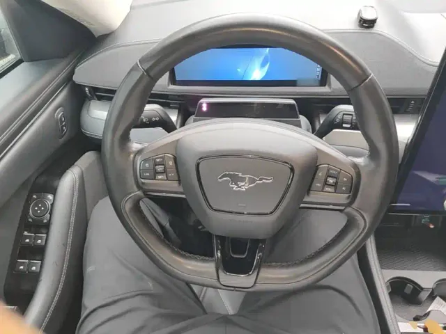 Ford Mustang Mach-E — Фото автомобиля 10
