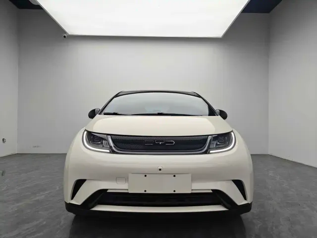 BYD Dolphin — Фото автомобиля 2