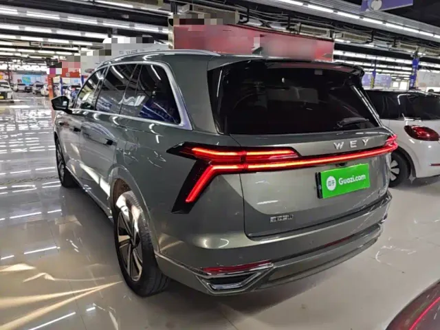 Wey Lanshan — Фото автомобиля 4