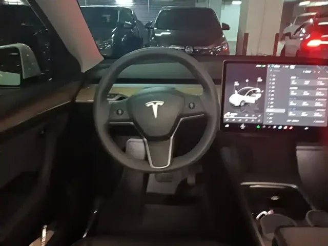 Tesla Model Y — Фото автомобиля 10