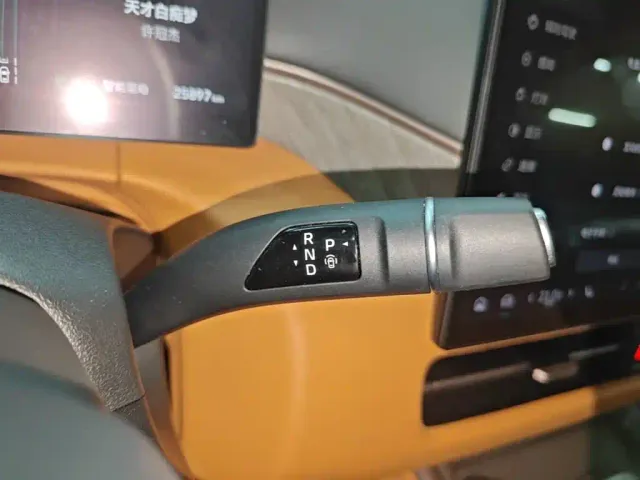 Wey Alpine — Фото автомобиля 13