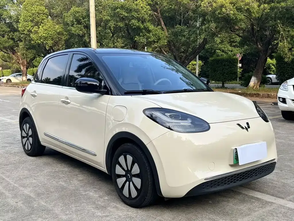 Wuling Motors Wuling Bingo 2025 Model 333km Smart Connect — Фото автомобиля 3