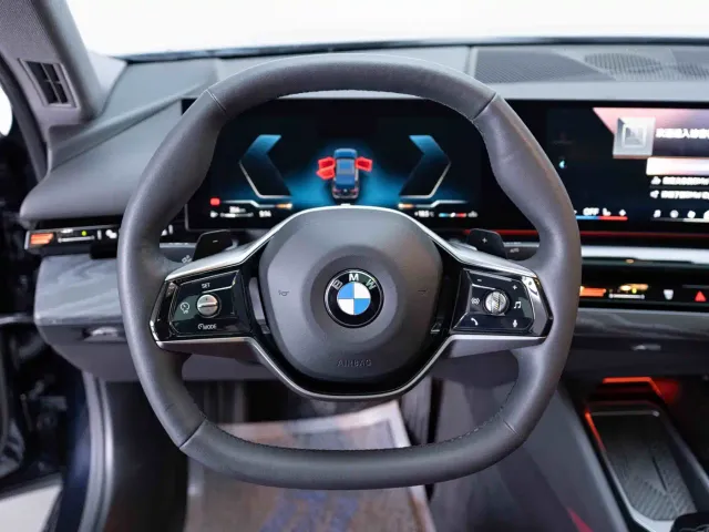 BMW 5 Series — Фото автомобиля 14