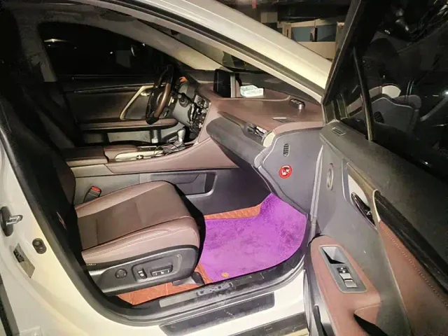 Lexus RX — Фото автомобиля 12