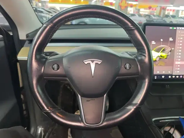 Tesla Model Y — Фото автомобиля 10