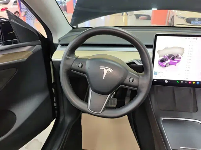 Tesla Model Y — Фото автомобиля 10