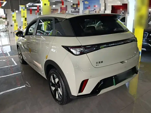 BYD Dolphin — Фото автомобиля 4