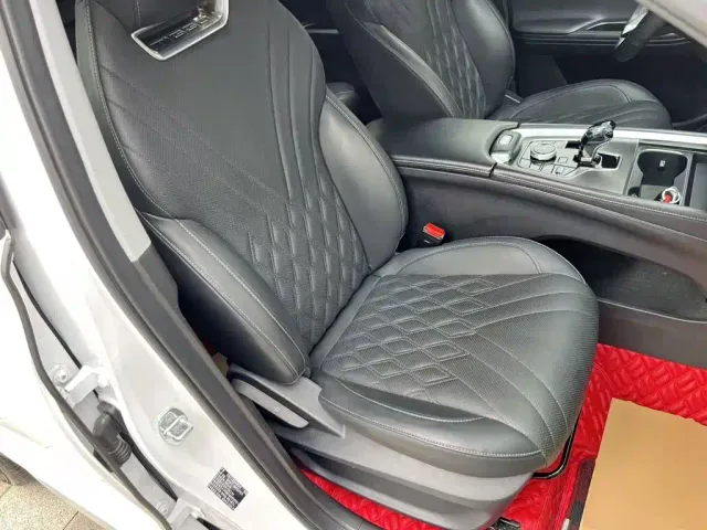 Chery Tiggo 7 PLUS — Фото автомобиля 24