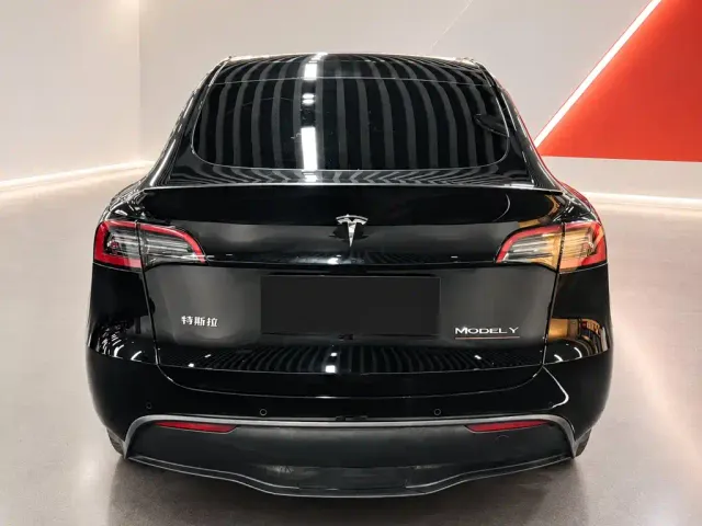Tesla Model Y — Фото автомобиля 5