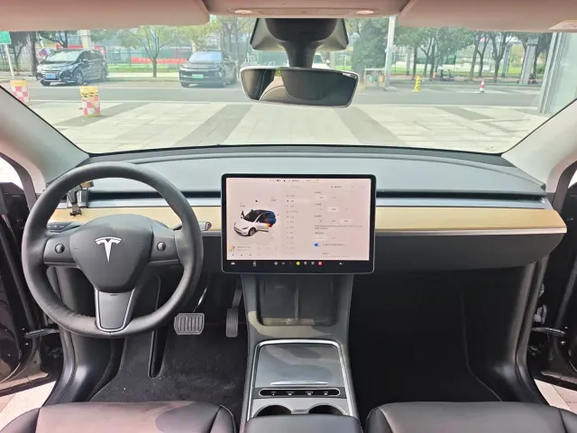 Tesla Model Y — Фото автомобиля 7