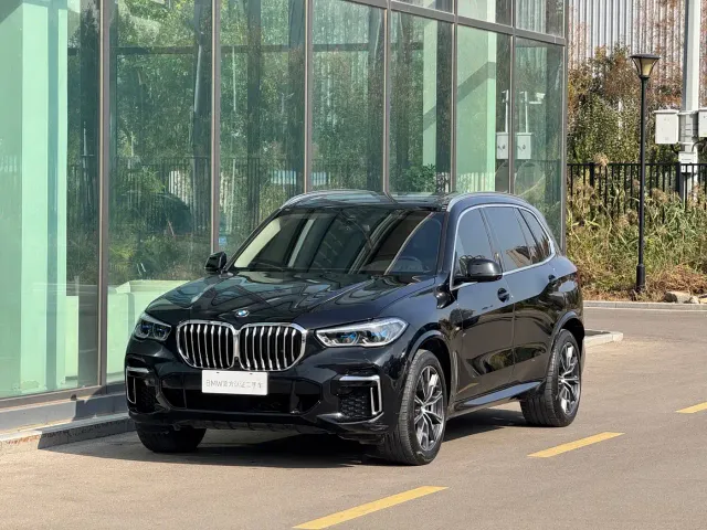 BMW X5 — Фото автомобиля 17