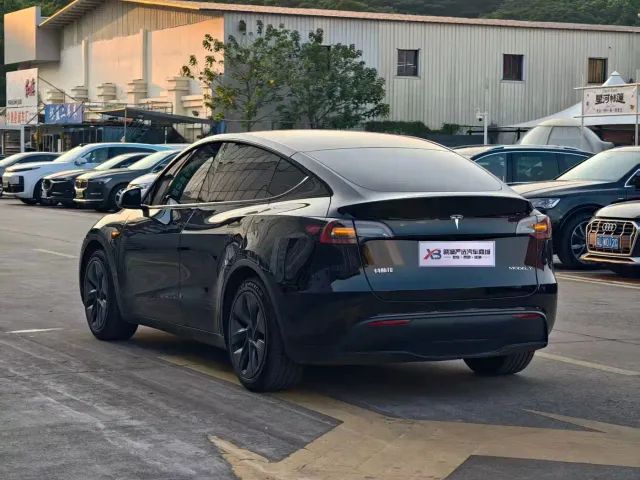 Tesla Model Y — Фото автомобиля 3