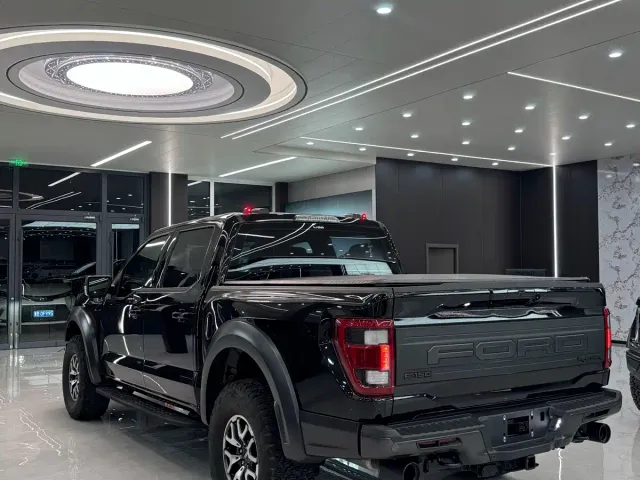 Ford F-150 Raptor — Фото автомобиля 7