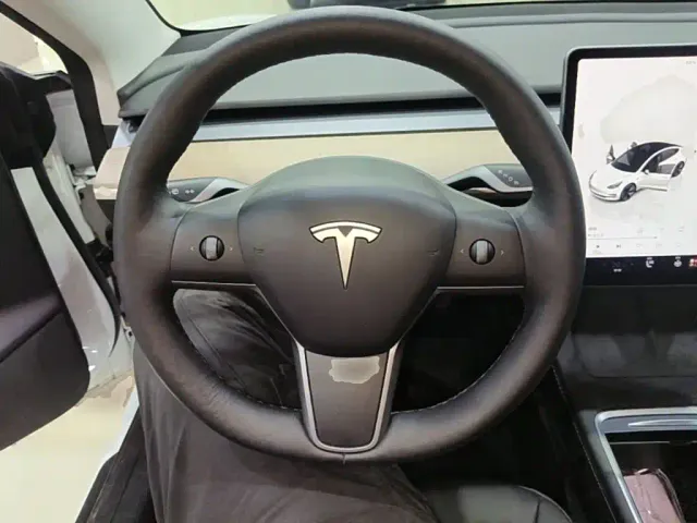 Tesla Model 3 — Фото автомобиля 10
