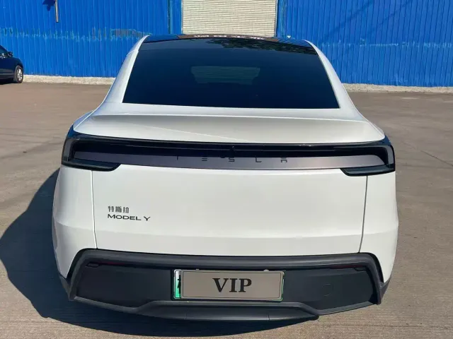 Tesla Model Y — Фото автомобиля 9