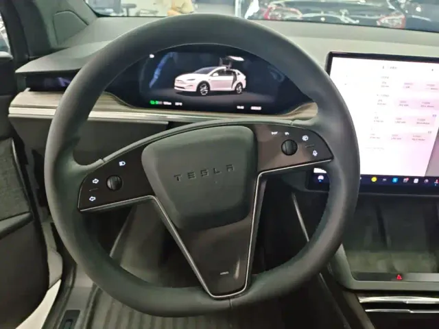 Tesla Model X — Фото автомобиля 10