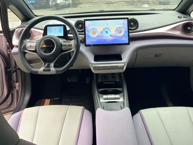 BYD Dolphin 2021 401km Knight Edition — Фото автомобиля 5