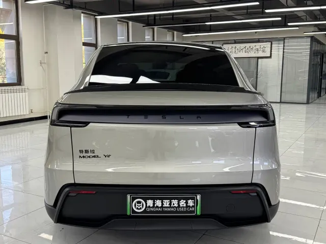 Tesla Model Y L — Фото автомобиля 16