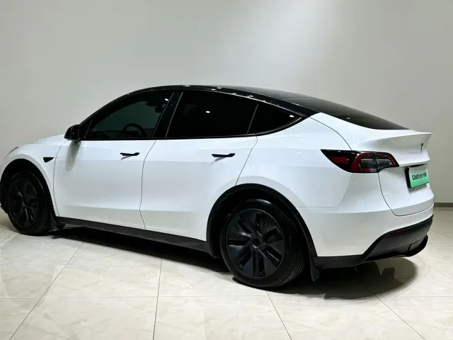 Tesla Model Y — Фото автомобиля 21