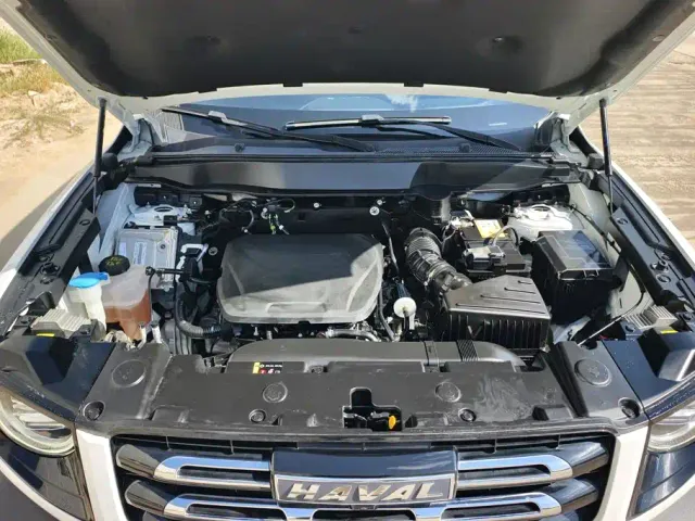 Haval Big Dog — Фото автомобиля 10