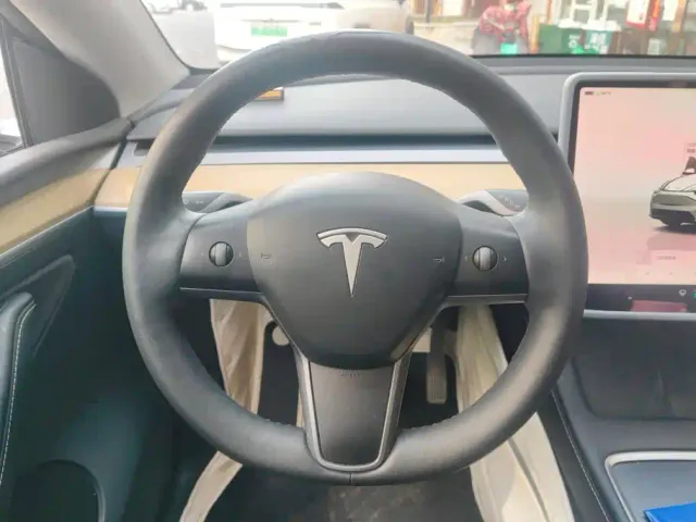 Tesla Model Y — Фото автомобиля 15