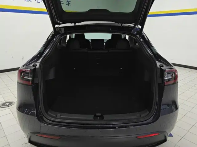 Tesla Model Y — Фото автомобиля 4