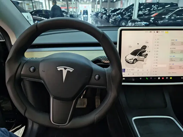 Tesla Model Y — Фото автомобиля 10