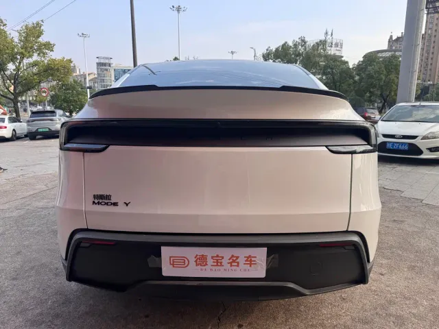 Tesla Model Y — Фото автомобиля 12