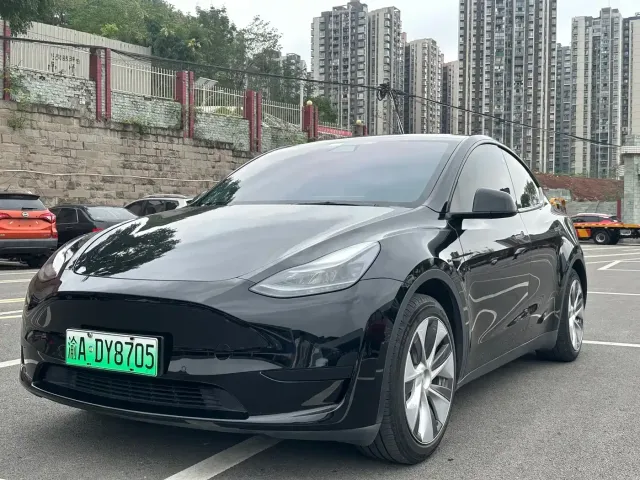 Tesla Model Y — Фото автомобиля 4