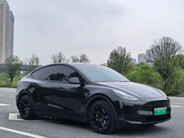Tesla Model Y — Фото автомобиля 3