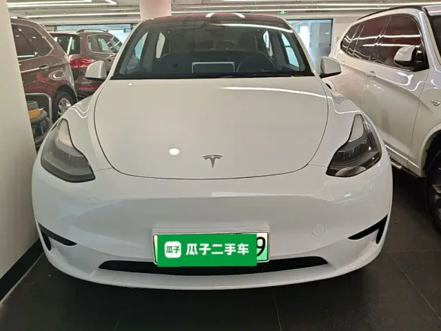 Tesla Model Y — Фото автомобиля 2