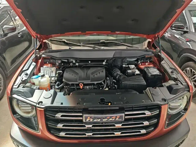 Haval Big Dog — Фото автомобиля 19