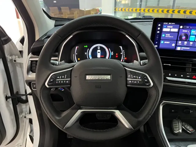 Haval H6 — Фото автомобиля 12