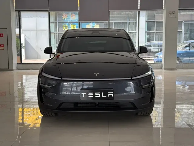 Tesla Model Y — Фото автомобиля 2