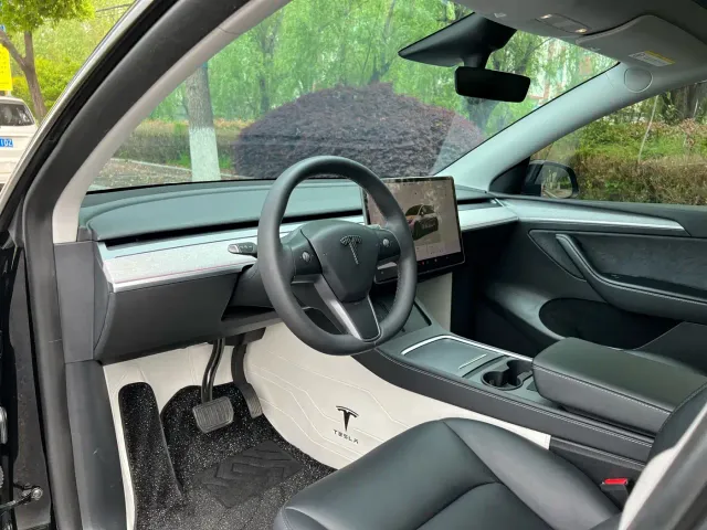 Tesla Model Y — Фото автомобиля 10