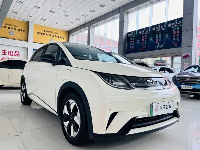 BYD Dolphin — Фото автомобиля 6
