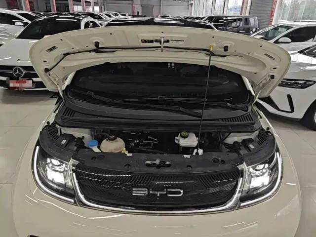 BYD Dolphin — Фото автомобиля 19