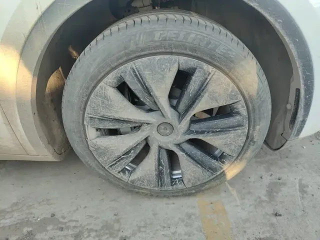 Tesla Model Y — Фото автомобиля 25