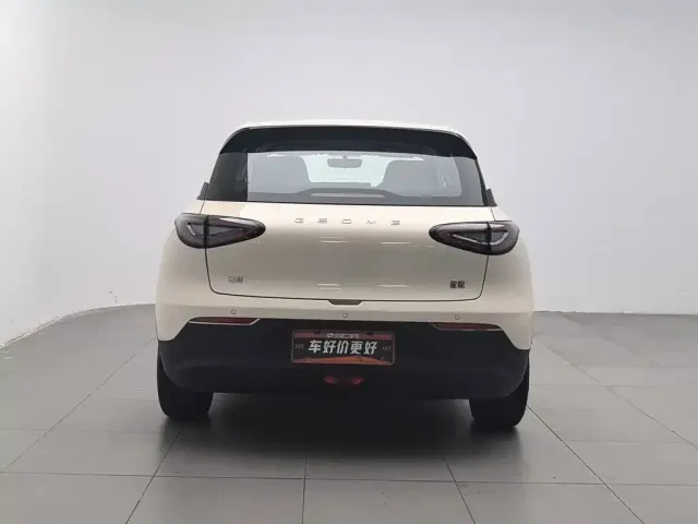 Geely Starry Wish — Фото автомобиля 4