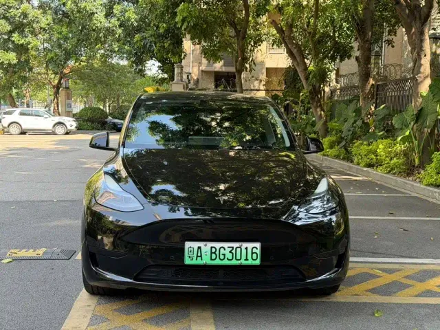 Tesla Model Y — Фото автомобиля 2