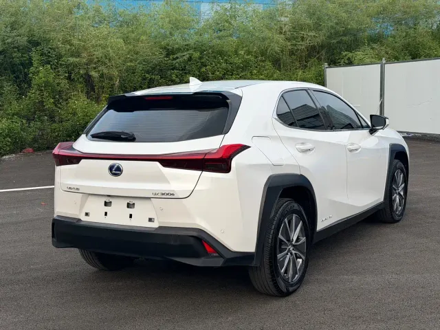 Lexus UX — Фото автомобиля 13