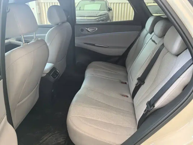 BYD Sealion 06 — Фото автомобиля 11