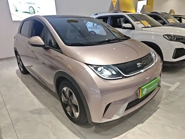 BYD Dolphin — Фото автомобиля 3