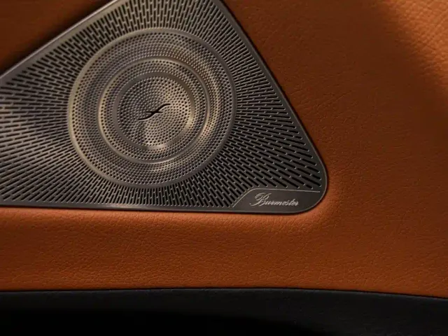 Mercedes-Benz S-Class — Фото автомобиля 13