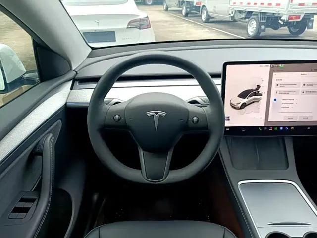 Tesla Model Y — Фото автомобиля 10
